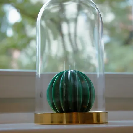 Bridge Любляна