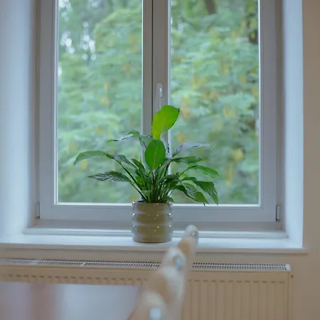 Bridge * Любляна