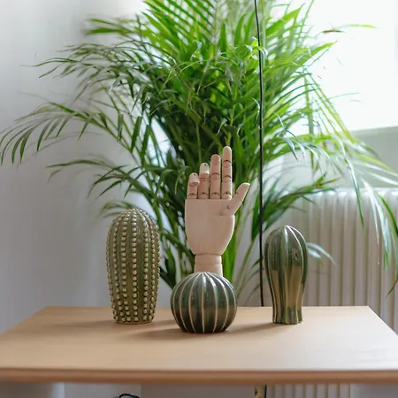 Bridge Любляна