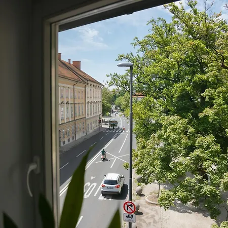 Bridge Apartament