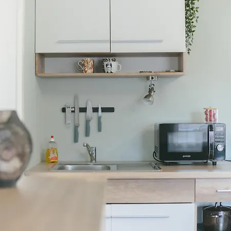 Bridge شقة ليوبليانا