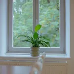 Bridge * 卢布尔雅那